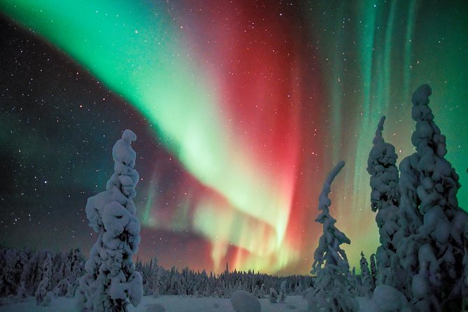 Auroras in Saariselkä – Northern Lights Photo Tour by Car and on Foot - Price and value in Saariselkä, what you are really paying for