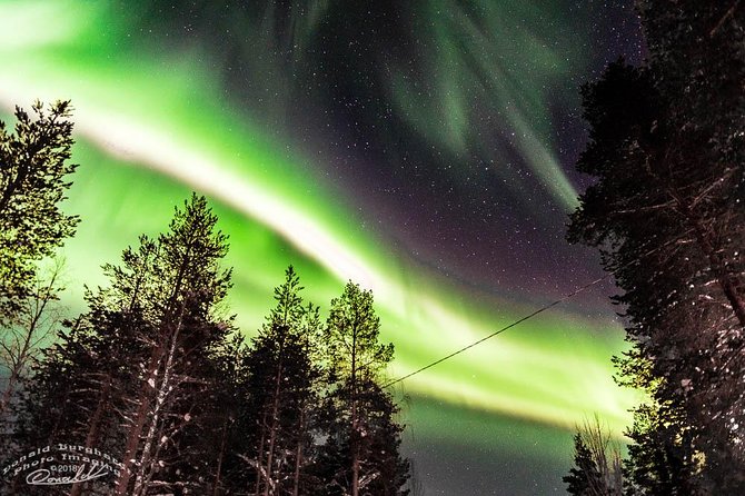 Auroras - Northern Lights Tours by Aurora Experts - Rovaniemi - Key Highlights Worth Your Attention