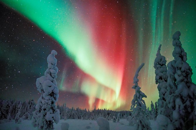 Auroras - Northern Lights Tours by Aurora Experts - Rovaniemi - The 5 to 6 Hour Night: What You Do From Departure to Return