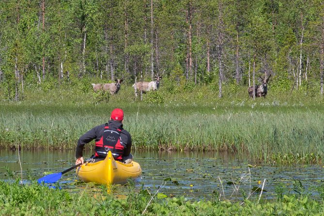Authentic Reindeer Farm and Canoe Experience from Rovaniemi - What “4 Hours” Means in Real Time