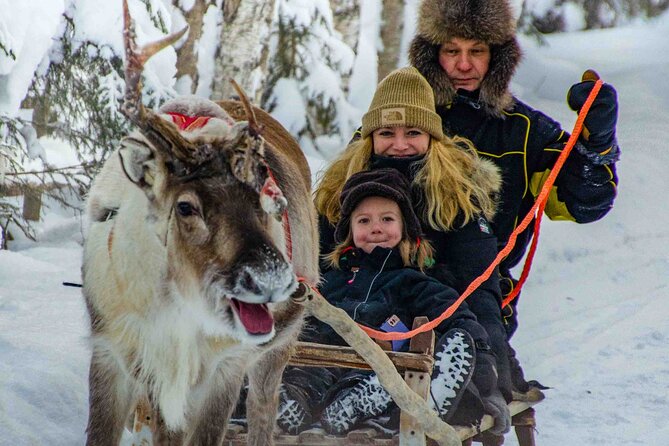 Authentic Reindeer Farm Experience in Rovaniemi - Price value: is $120.15 worth it?
