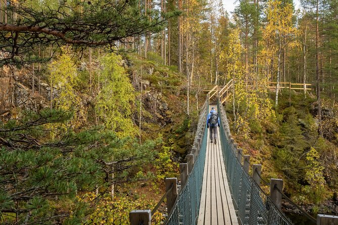 Auttiköngäs Nature Trail - Group size, comfort, and the reality of the van ride