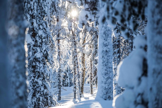 Backcountry skiing adventure - The Value Math: Price, What You Get, and Why It Might Be Worth It