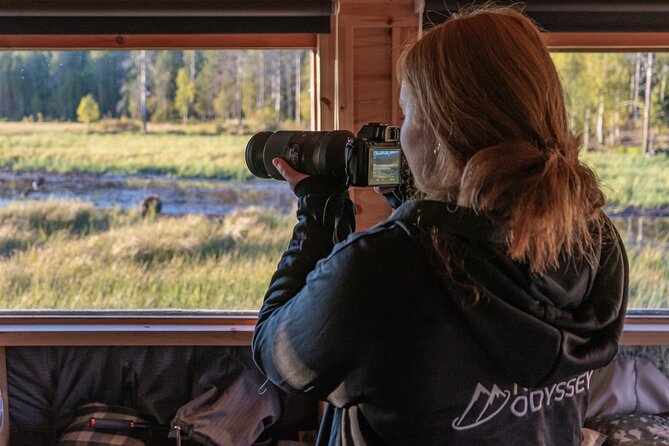 Bear and Arctic Animals 2 Day Trip from Rovaniemi - A Lapland animal itinerary built around real moments