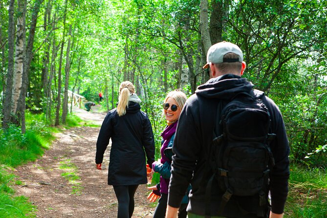 Berry Picking in a National Park - What you should bring (and what the tour already covers)