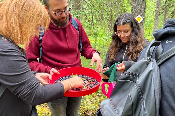 Berry Picking in a National Park - Price and value: what $186.64 buys you in a small-group day