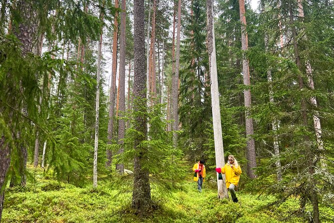 Berry Picking in a National Park - Sustainability and the low-waste details that actually matter