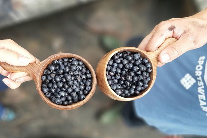Berry Picking in a National Park - Who this trip is best for