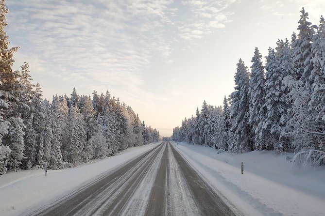 Best Of Lapland: Sauna, Ice swimming, Dinner & Northern Lights - Ice swimming in Arctic water, and how to not panic