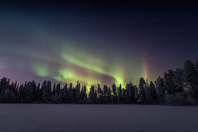 Best Of Lapland: Sauna, Ice swimming, Dinner & Northern Lights - Dinner cooked on open fire: smoked salmon and the calm after