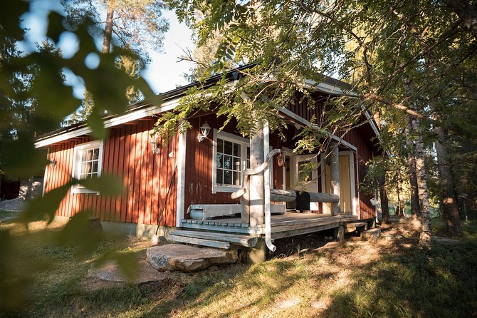 Best Of Lapland: Sauna, Ice swimming, Dinner & Northern Lights - Transport, timing, and what a 4.5-hour night feels like