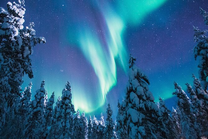 Bus Tour with Hunting Northern Lights - What happens during the 7:30 pm hunt, and why multiple stops matter