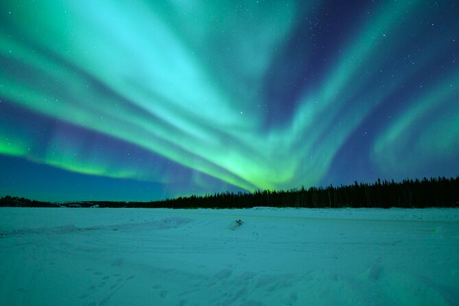 Chasing Aurora with Photographer - Small Group - Price and value: what $192.36 buys you at night
