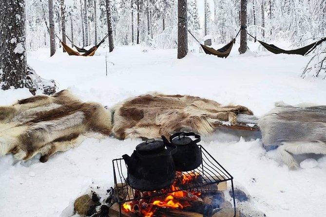Cocooning in the HaliPuu forest: The ultimate Arctic hammock relaxation - Quick reasons to go