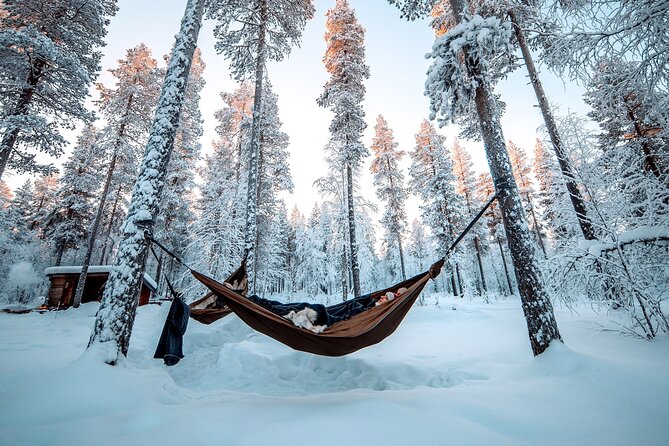 Cocooning in the HaliPuu forest: The ultimate Arctic hammock relaxation - Cocooning in Levi, Finland: what the Arctic hammock idea gets right