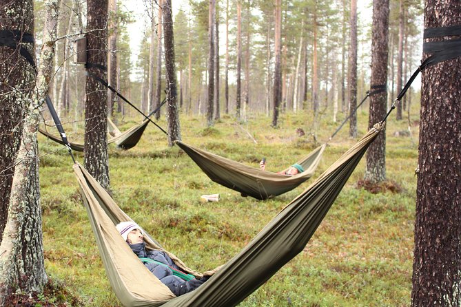 Cocooning in the HaliPuu forest: The ultimate Arctic hammock relaxation - Calming exercises on the path: the specialist guide’s real role