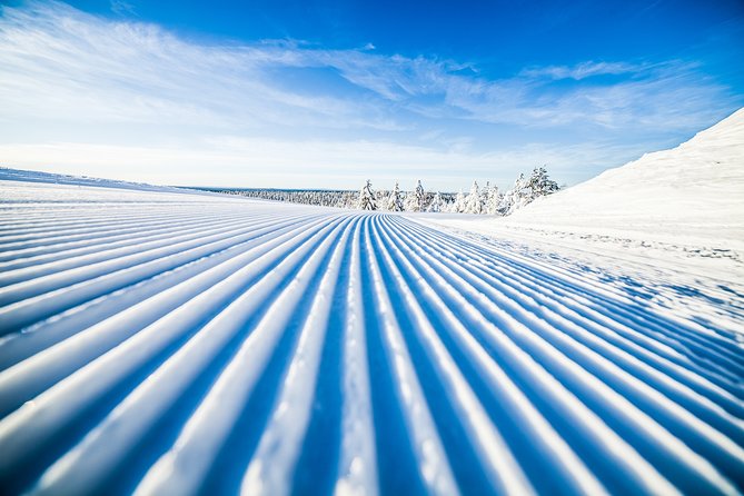 Cross-Country Skiing Trip - Why cross-country skiing in Rovaniemi is the smart winter sport choice