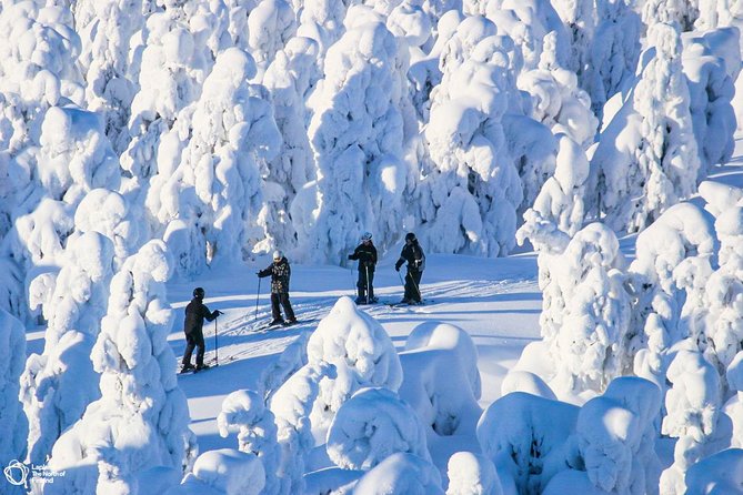 Cross-Country Skiing Trip - Guides and the learning curve, especially if you’re new to skiing