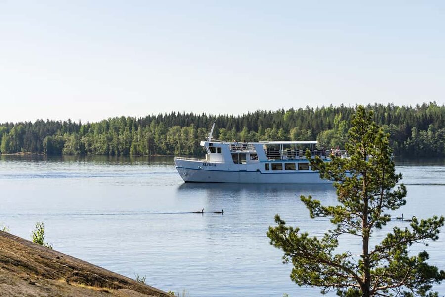 Cruise around Savonlinna archipelago - Audio guidance and language options: making sense of what you see