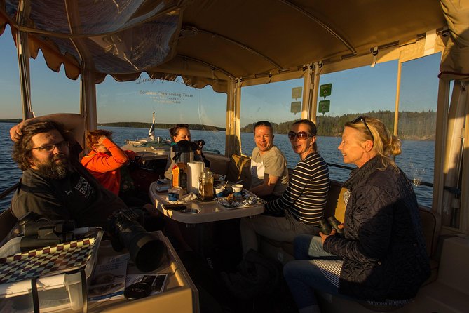 Cruise in Puumala by Lake Saimaa - Lake Saimaa at 7 pm: what the cruise feels like