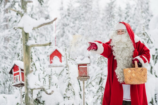 Daytour to Santa Claus Village, Reindeer and Husky Safaris, Photo, and Lunch - Santa Claus’ Main Post Office: Postcards, Writing, and a Trade-Off