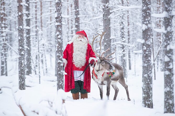 Daytour to Santa Claus Village, Reindeer and Husky Safaris, Photo, and Lunch - Reindeer Safari (400m): Classic Lapland With a Controlled Timing