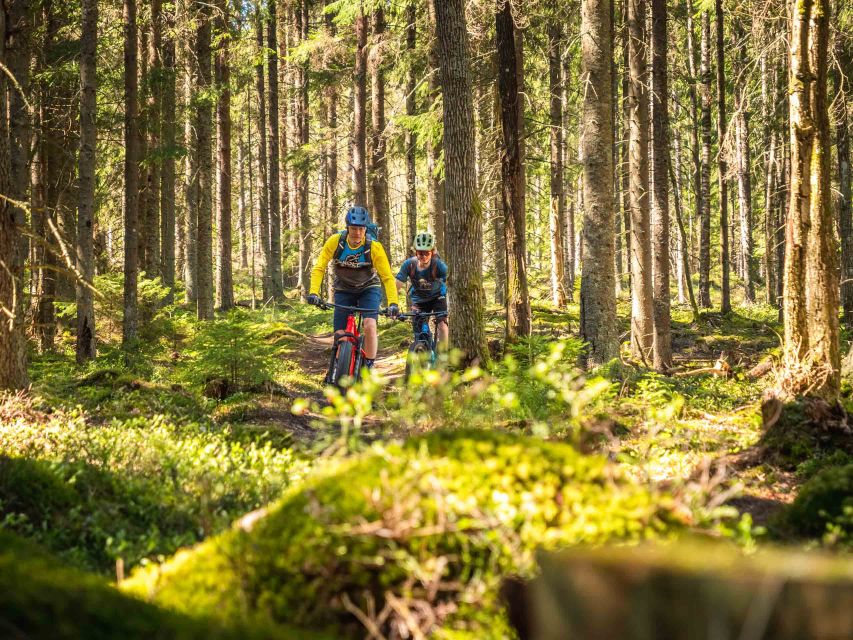 E-FatBike experience in small groups - Key highlights you’ll care about