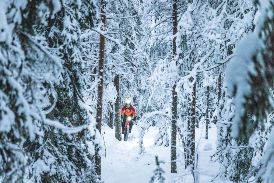 E-FatBike experience in small groups - Price in context: why $218 can feel fair, or not