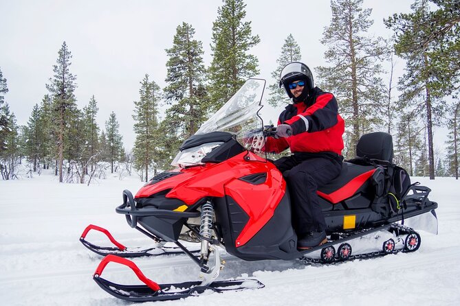 Easy Snowmobile Safari - Quick Highlights You’ll Actually Care About