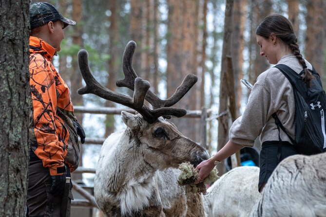 Electric Fatbike Trip to the Reindeer Farm - The morning start: Nordic Odyssey, bikes, and getting comfortable