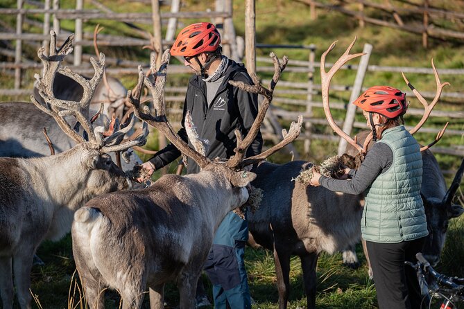 Electric Fatbike Trip to the Reindeer Farm - The ride back to Rovaniemi: same bikes, different path