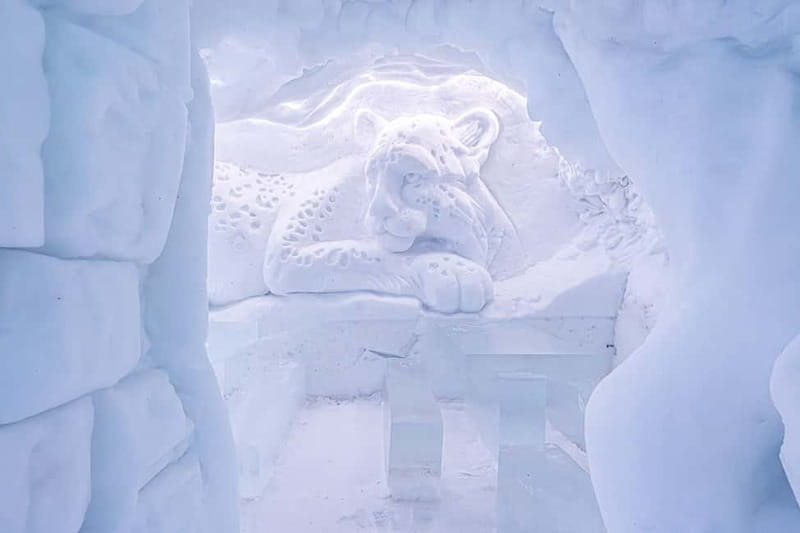 Entrance tickets to Snowman World and Snow Restaurant Dinner - Ice skating and ice tubing, how to spend your time well