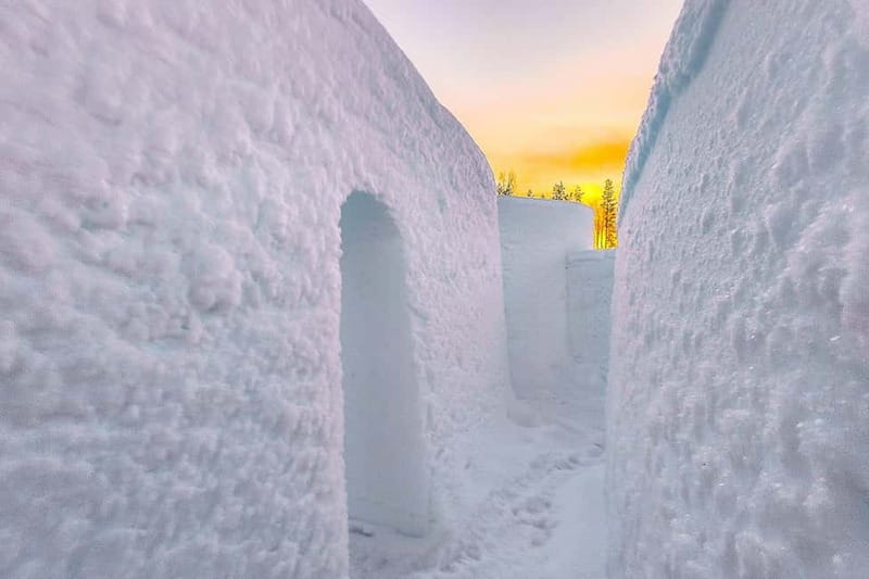 Entrance tickets to Snowman World and Snow Restaurant Dinner - Timing and logistics: make the two-hour window work for you
