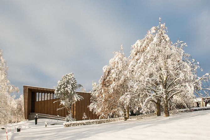 Entry Ticket to Amazing Serlachius in Tampere Region - Serlachius Manor: art treasures, architecture, and Sculpture Park time