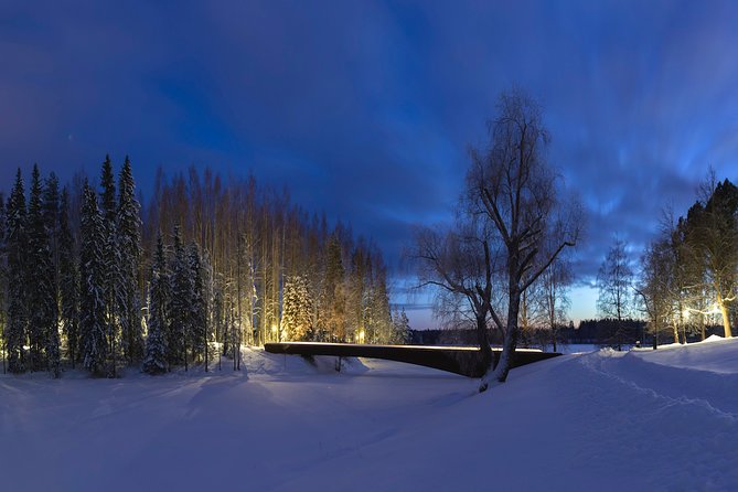 Entry to the amazing Serlachius Museums in the Tampere region - Key things to know before you go