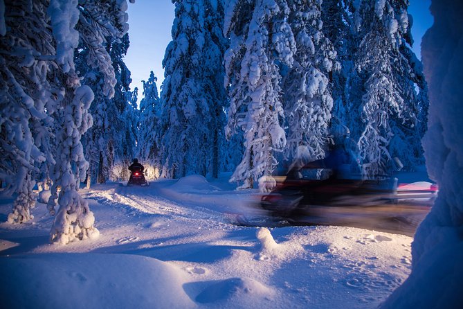 Evening Escape - Snowmobile safari and campfire in Rovaniemi - Price and Value: Is $183.62 Worth It?