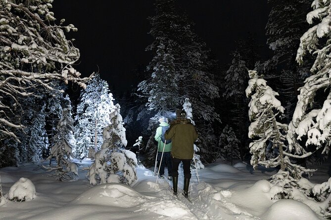 Evening Ski Trek to the Wilderness - Extra Small group - Meeting in Rovaniemi and the simple pickup plan