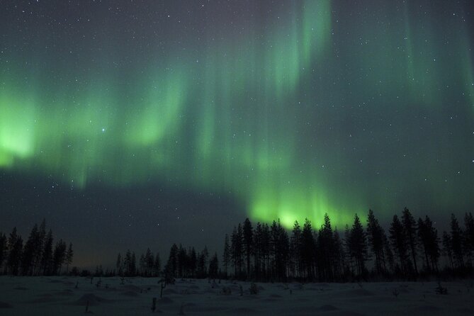 Evening Ski Trek to the Wilderness - Extra Small group - Price and what you actually get for $118.96