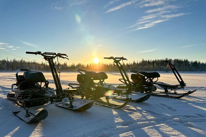 Expedition "INTO THE WILD" Safari and Lunch in Glass Igloo - Who should book this Lapland glass igloo safari
