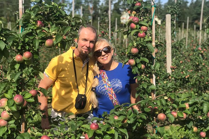 Experience the Best of Åland with a Private Guided Tour - Getting picked up and rolling through Åland