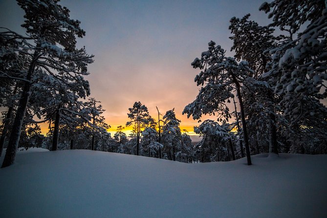 Explore the Wilderness - Who should book this wilderness photo hike (and who should skip it)