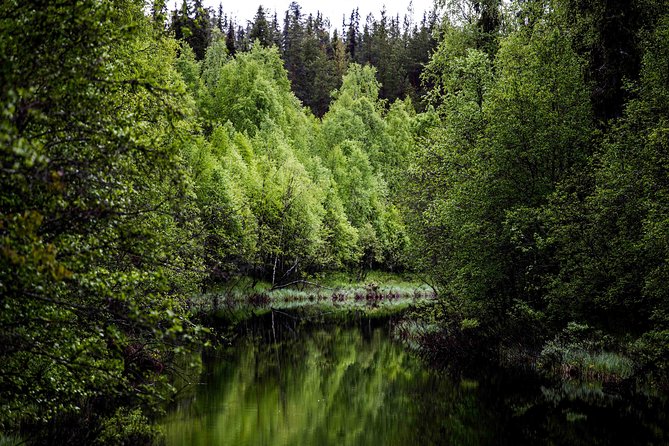 Explore the Wilderness (Summer & Autumn) - Key things to know before you go