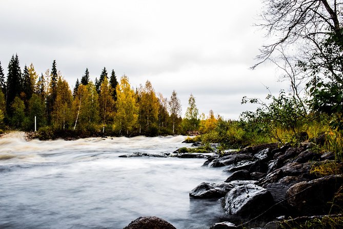 Explore the Wilderness (Summer & Autumn) - What this Rovaniemi photography tour really feels like