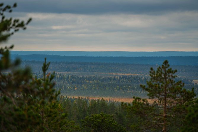 Explore the Wilderness (Summer & Autumn) - Small group size, pickup, and the comfort of a minivan plan