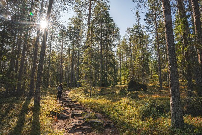 Explore the Wilderness (Summer & Autumn) - Beyond Arctic start: your briefing before the wilderness time