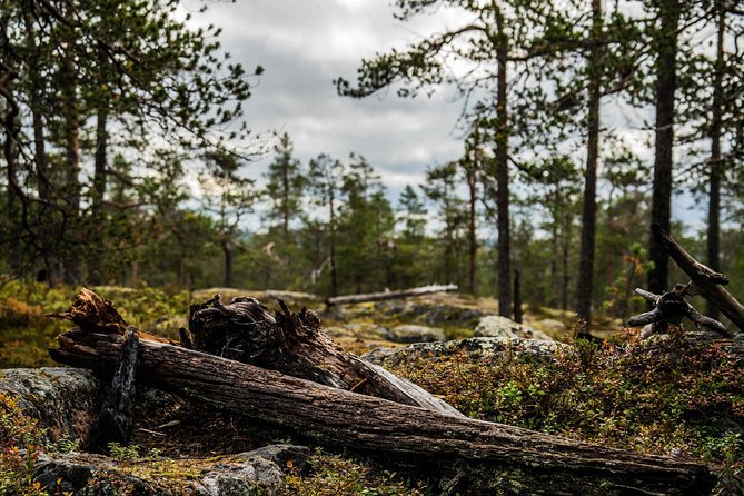 Explore the Wilderness (Summer & Autumn) - The pro photographer angle, and why it changes your photos