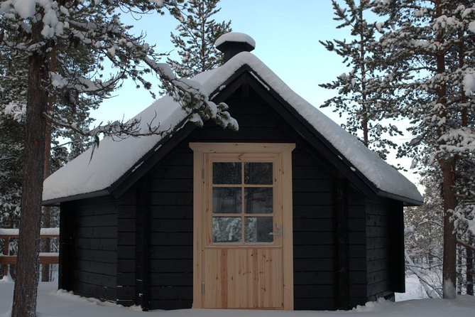 Explore Winter Woods: Snowshoe walk with local Biologist - Winter woods with Terhi: why this snowshoe walk feels different in Inari