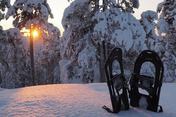 Explore Winter Woods: Snowshoe walk with local Biologist - The open-fire kota break: hot drinks, snacks, and bird watching