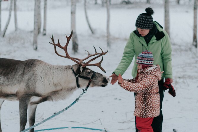 Family day: Reindeer, Husky and Snowmobiling in Levi - Key points to know before you book in Levi
