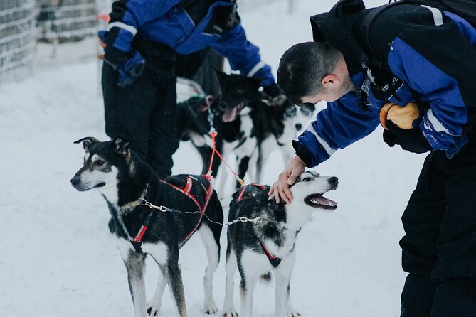 Family day: Reindeer, Husky and Snowmobiling in Levi - Winter clothing and cold-proofing: don’t trust hope, trust your layers